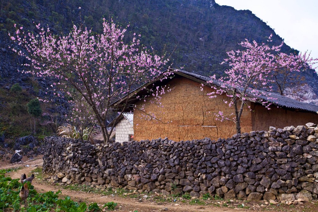 Phố Cáo Hà Giang